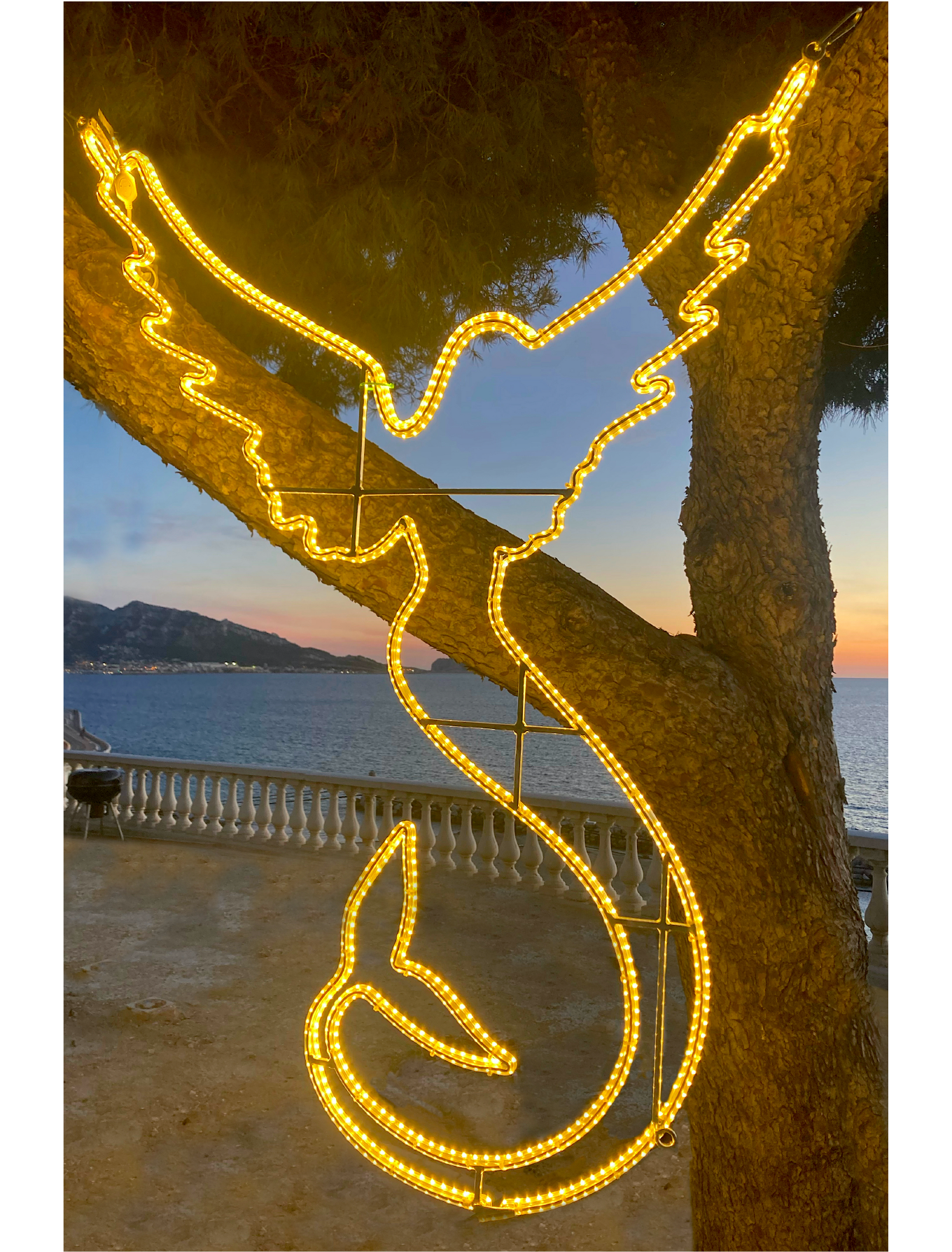Installation Ange-Sirène